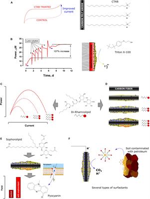 Biosurfactants and Synthetic Surfactants in Bioelectrochemical Systems: A Mini-Review